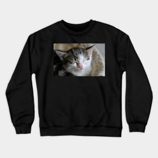 Teeny Tiny zzz`s Crewneck Sweatshirt